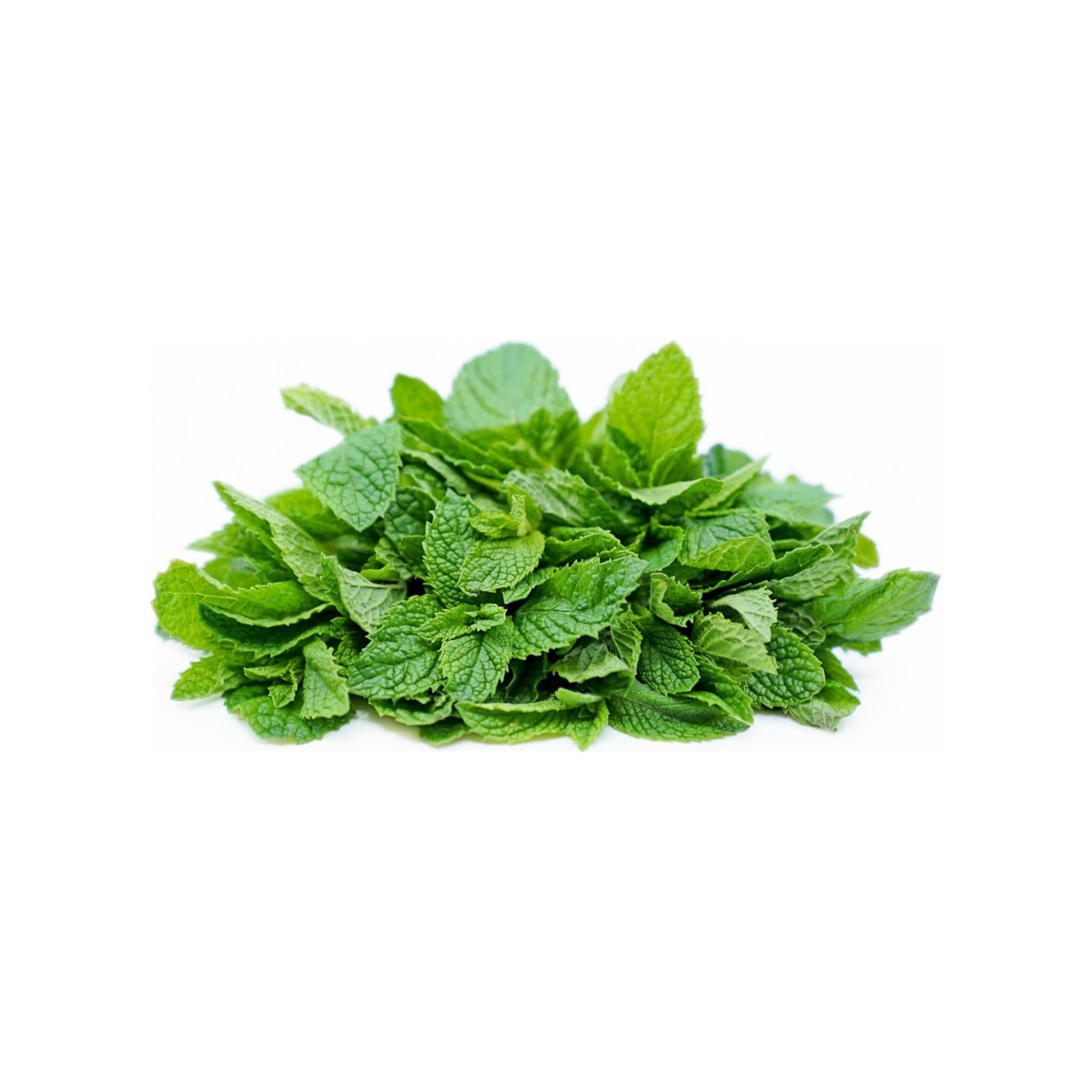 Organic Mint