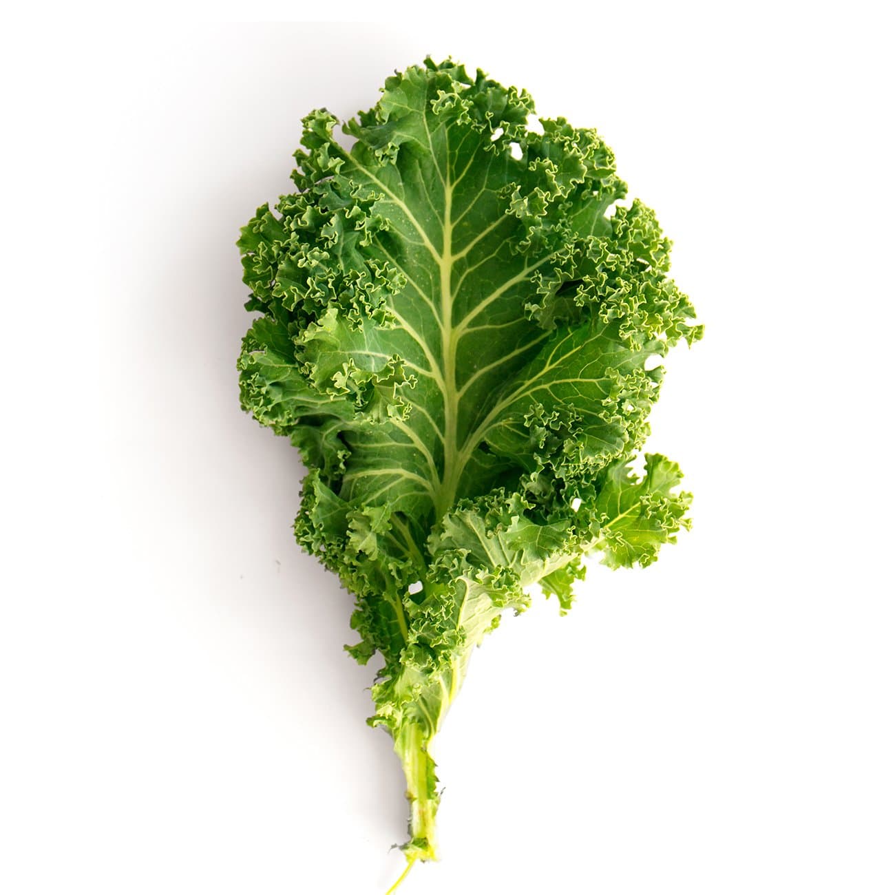 Organic Kale