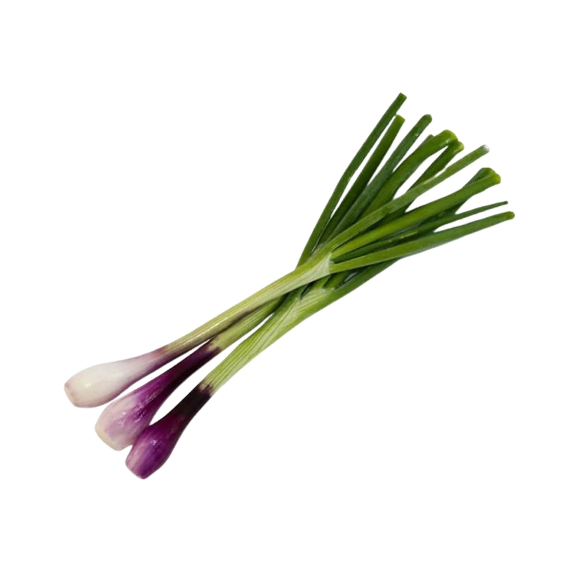 Home-Grown Red Spring Onions
