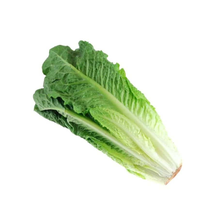 Romaine Lettuce