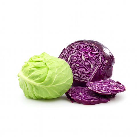 Baby Cabbage