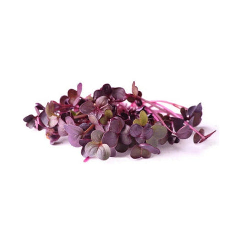 Organic Microgreens
