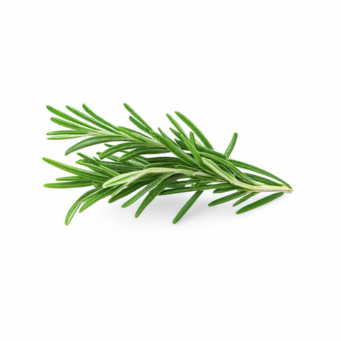 Rosemary