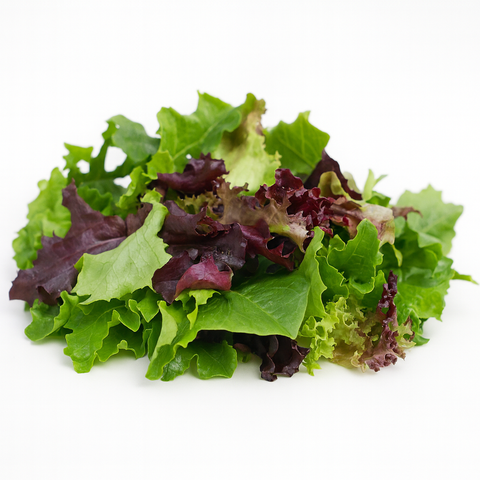 Salad Mix