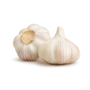 Fresh Garlic