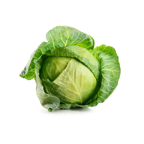 Cabbage