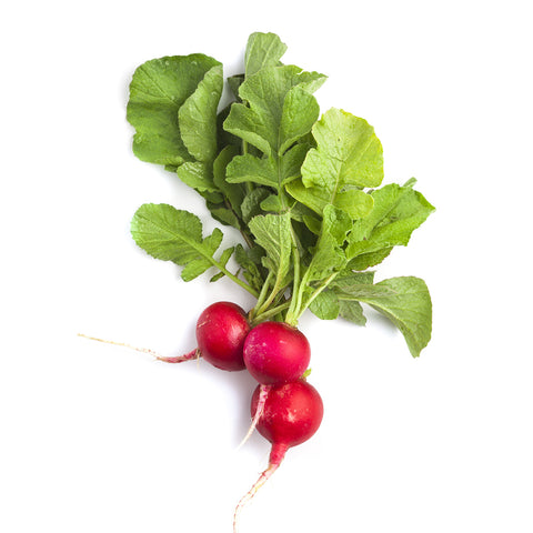 Mini Organic Radish