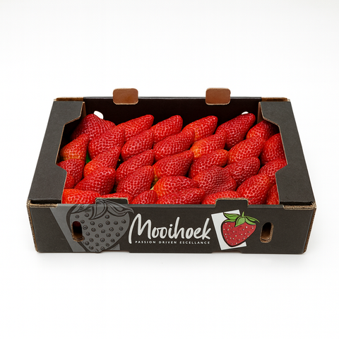 Fresh Strawberries
