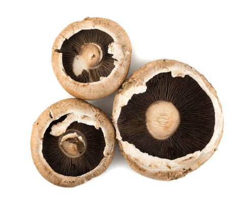 Brown Mushrooms